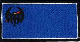 VQ-1 Flight Suit Name Patch - Color